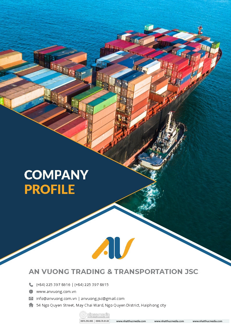 Thiết kế Profile công ty An Vượng