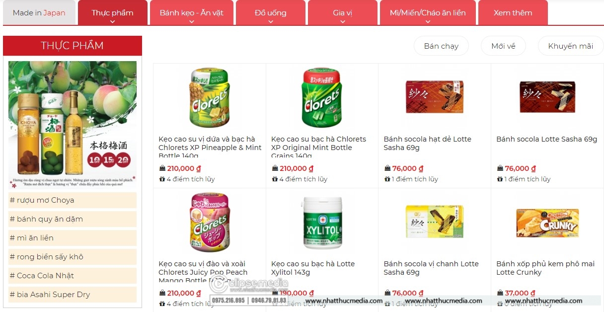 thiet ke website hai phong