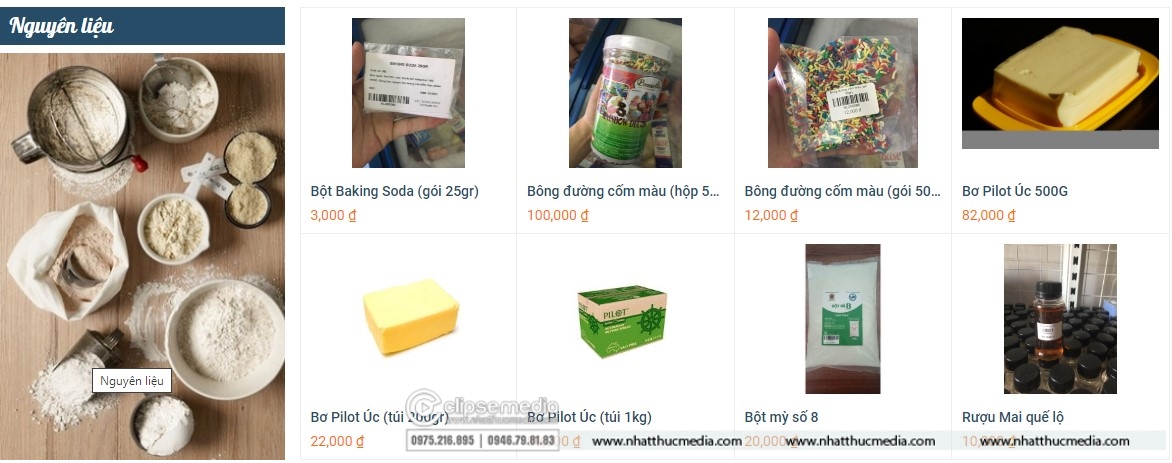 Thiết kế Website Hải Phòng