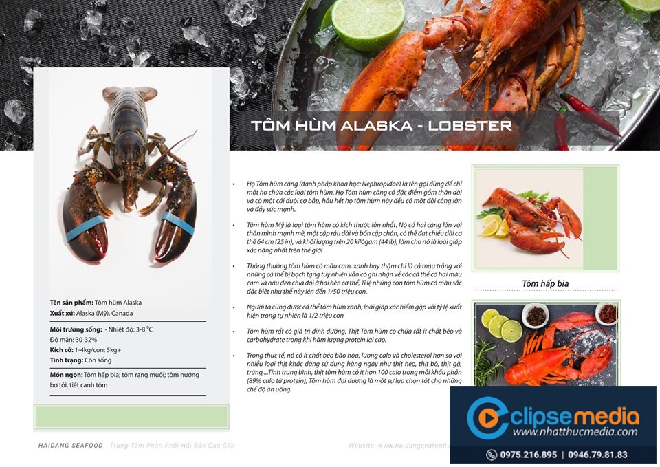 Thiết kế dàn dựng Hải Phòng