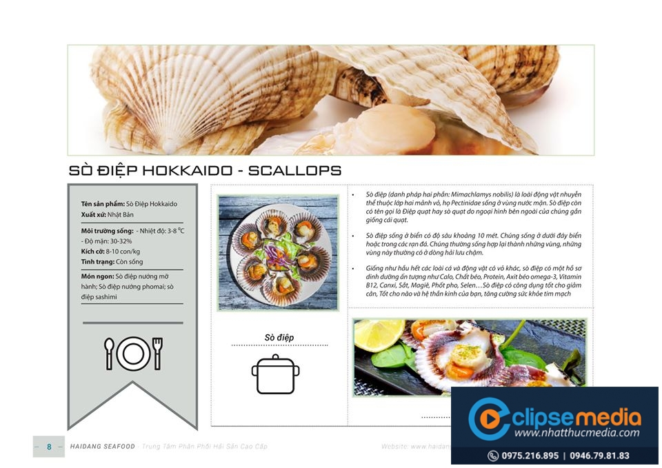Sò Điệp Hokaido