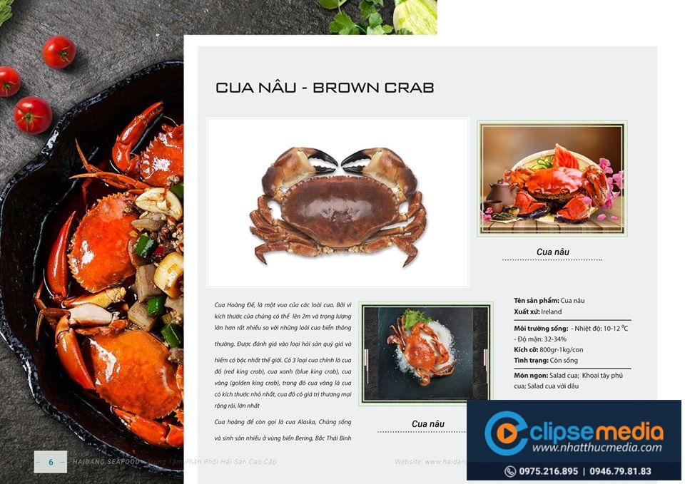 Thiết kế cataloge