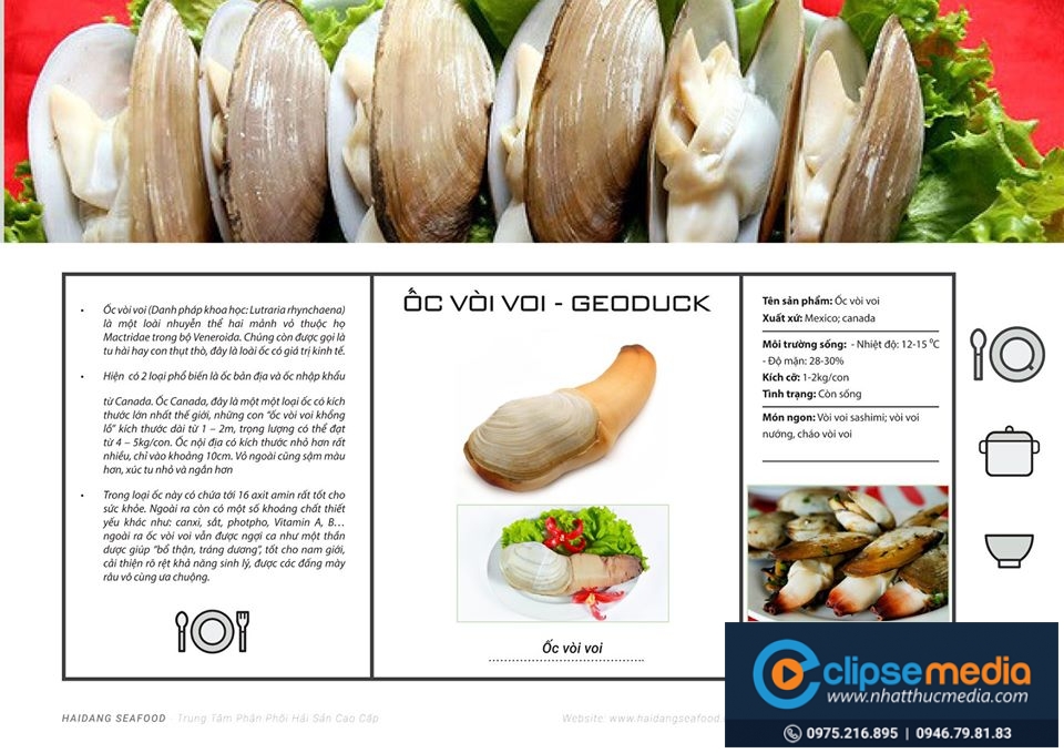 Thiết kế Hải Phòng