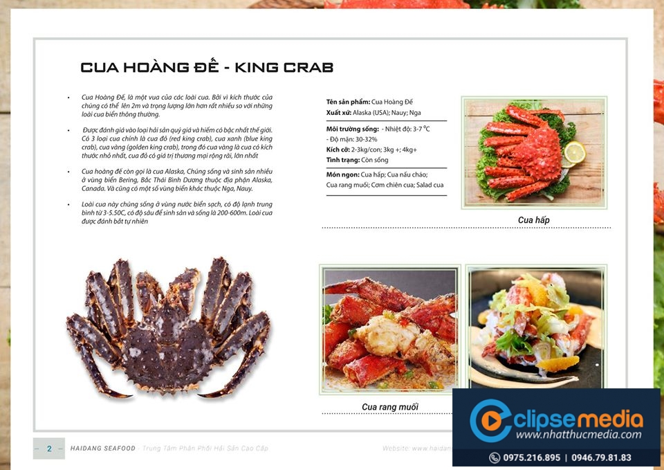 Thiết kế nhận logo Hải Phòng