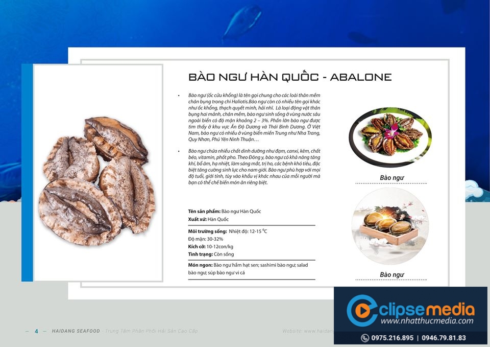 Thiết kế nhận dạng thương hiệu Hải Phòng