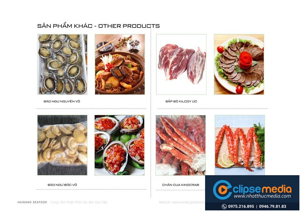 Thiết kế nhận dạng thương hiệu Hải Phòng