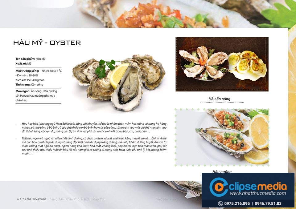 Thiết kế logo Hải Phòng