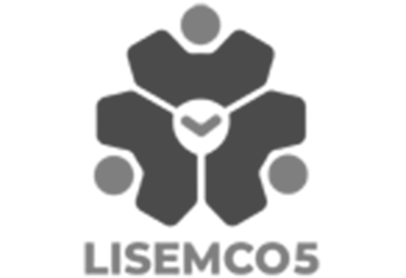 Lisemco 5