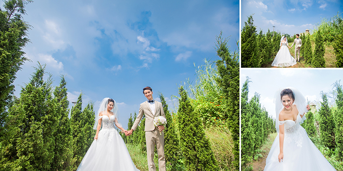 dịch vụ hấp dẫn, giá cả cạnh tranh